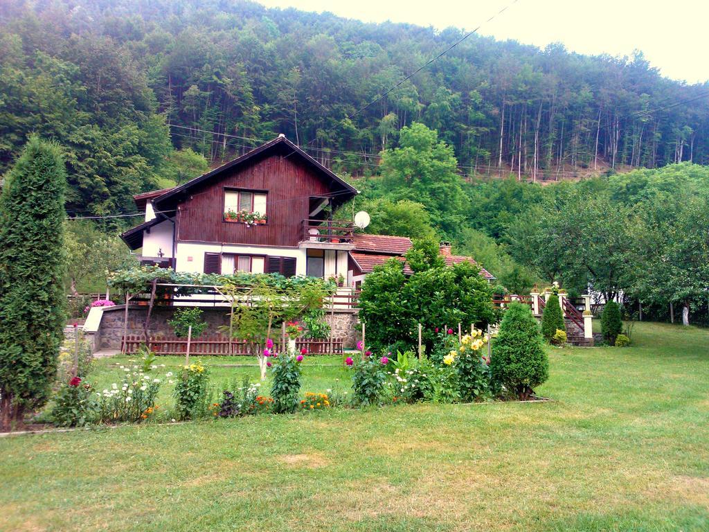 Villa Lalka Ribarica Exterior foto